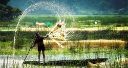 越南南部湄公河景觀