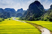 越南寧平風景