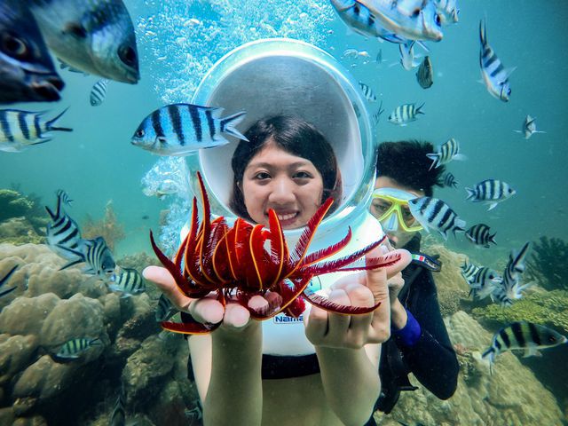 富國島旅遊攻略 潛水賞珊瑚拼團一日遊返評